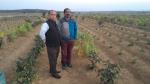 Govt. of India officials visiting Oil Palm field